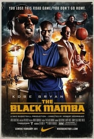 The Black Mamba (2011) subtitles - SUBDL poster