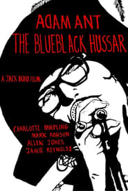Adam Ant: The Blue Black Hussar (2013) subtitles - SUBDL poster