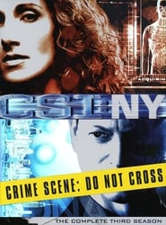 CSI: NY Norwegian  subtitles - SUBDL poster