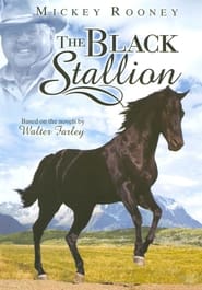 The Adventures of the Black Stallion (1990) subtitles - SUBDL poster