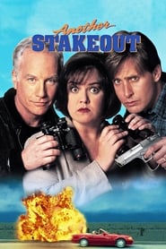 Another Stakeout (1993) subtitles - SUBDL poster