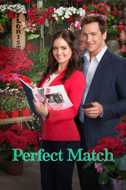 Perfect Match (2015) subtitles - SUBDL poster