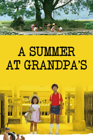 A Summer At Grandpa's (Dong dong de jia qi) Arabic  subtitles - SUBDL poster