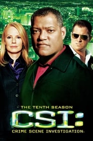 CSI: Crime Scene Investigation (2000) subtitles - SUBDL poster