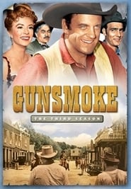 Gunsmoke English  subtitles - SUBDL poster
