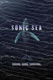 Sonic Sea Arabic  subtitles - SUBDL poster
