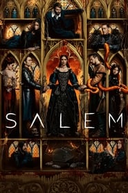 Salem Danish  subtitles - SUBDL poster