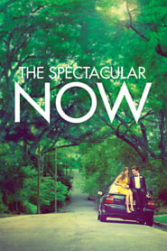 The Spectacular Now Hungarian  subtitles - SUBDL poster