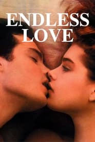 Endless Love (1981) subtitles