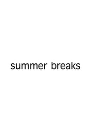 Summer Breaks (2008) subtitles - SUBDL poster