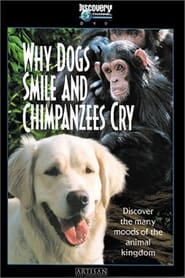 Why Dogs Smile and Chimpanzees Cry (1999) subtitles - SUBDL poster