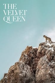 The Velvet Queen Danish  subtitles - SUBDL poster