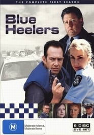 Blue Heelers