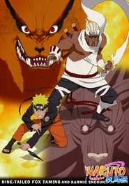 Naruto Shippūden