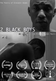 2 Black Boys (2019) subtitles - SUBDL poster