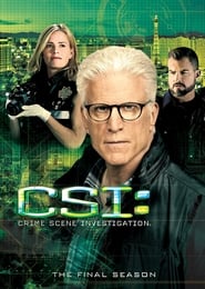 CSI: Crime Scene Investigation English  subtitles - SUBDL poster
