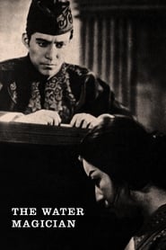The Water Magician (1933) subtitles - SUBDL poster