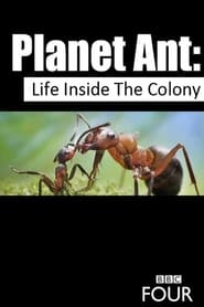 BBC Planet Ant: Life Inside the Colony