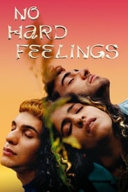 No Hard Feelings Italian  subtitles - SUBDL poster