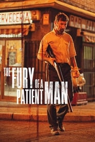 The Fury of a Patient Man Korean  subtitles - SUBDL poster