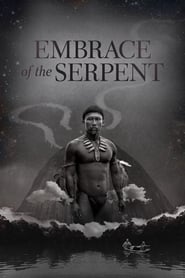 Embrace of the Serpent Dutch  subtitles - SUBDL poster