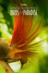 Winged Seduction: Birds of Paradise (2012) subtitles