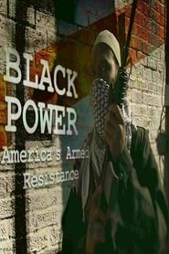 Black Power: America's Armed Resistance (2016) subtitles - SUBDL poster