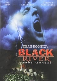 Black River (2001) subtitles - SUBDL poster