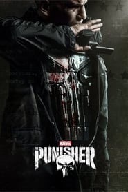 Marvel's The Punisher (2017) subtitles - SUBDL poster