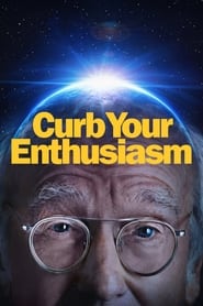Curb Your Enthusiasm Farsi_persian  subtitles - SUBDL poster