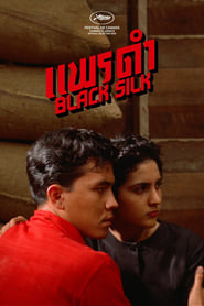 Black Silk English  subtitles - SUBDL poster