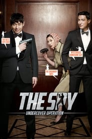 The Spy: Undercover Operation (2013) subtitles - SUBDL poster