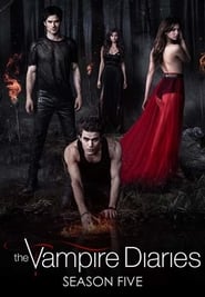 The Vampire Diaries Norwegian  subtitles - SUBDL poster