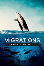 Migrations: The Big Swim (2020) subtitles