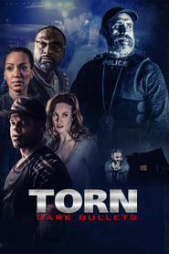 Torn  Dark Bullets (2020) subtitles - SUBDL poster