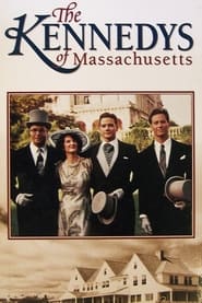The Kennedys of Massachusetts (1990) subtitles - SUBDL poster