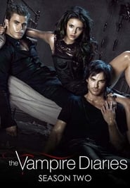 The Vampire Diaries (2009) subtitles - SUBDL poster