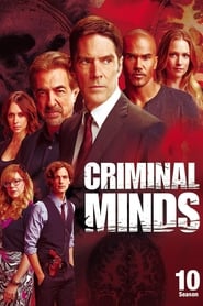 Criminal Minds Italian  subtitles - SUBDL poster