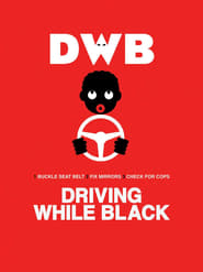 Driving While Black (2015) subtitles - SUBDL poster