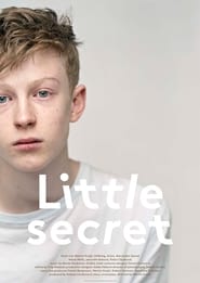 Little Secret (2013) subtitles - SUBDL poster
