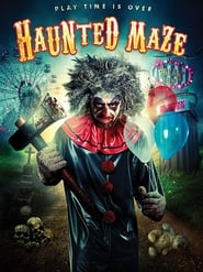 Haunted Maze (2017) subtitles