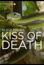 Black Mamba: Kiss Of Death (2017) subtitles - SUBDL poster