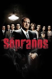 The Sopranos (1999) subtitles - SUBDL poster