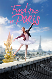 Find Me in Paris (2018) subtitles - SUBDL poster