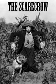 The Scarecrow (1920) subtitles - SUBDL poster