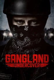 Gangland Undercover (2015) subtitles - SUBDL poster