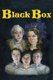 Black Box (2013) subtitles - SUBDL poster