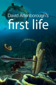 First Life (2010) subtitles - SUBDL poster