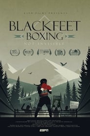 Blackfeet Boxing: Not Invisible (2020) subtitles - SUBDL poster