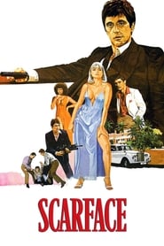 Scarface (1983) subtitles - SUBDL poster